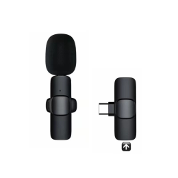 Portable Audio Video Recording Mini Microphone (Type: For Type C, Color: Black)